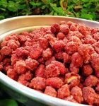 amendoim_praline-140×170