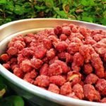 amendoim_praline-430×450