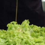 molho-caesar-1024×682