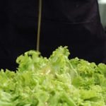 molho-caesar