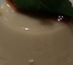 panacota-molho-tomate-300×132