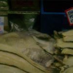 bacalhau-150×150
