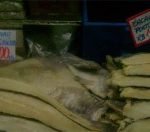 bacalhau-300×132