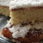 bolo-de-coco-gelado2-225×300