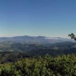 mirante1-1024×263