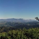 mirante1-150×150