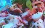 ceviche-de-polvo1-238×96