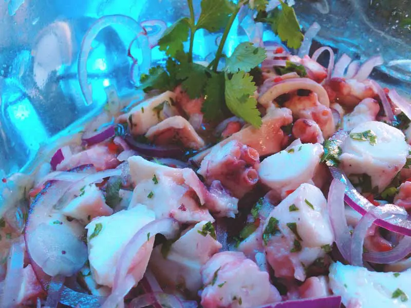 ceviche-de-polvo