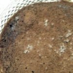 mousse-de-chocoalte_cima-249×158
