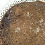 mousse-de-chocoalte_cima-260×170