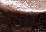 bolo-de-chocolate-279×105