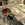 bev_2-1-25×25