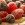 blueberries-343980-25×25