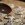 christmas-cookies-556959-25×25