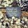 nougat-599518_1920-40×40
