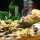 pizza-329523_1920-40×40