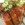 roasted-468161_1920-25×25